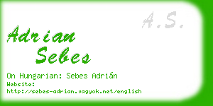 adrian sebes business card